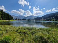 Arosa Obersee